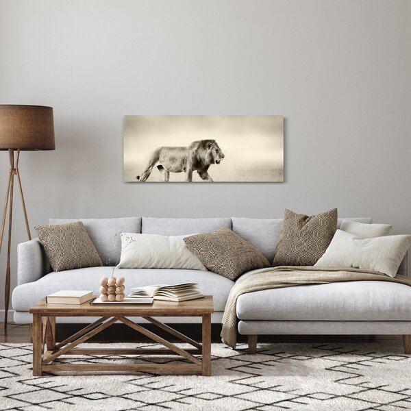 Obraz - Hladný lev (120x50 cm)