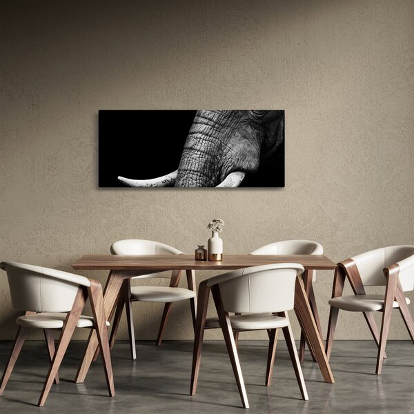Obraz - Slonie kly (120x50 cm)
