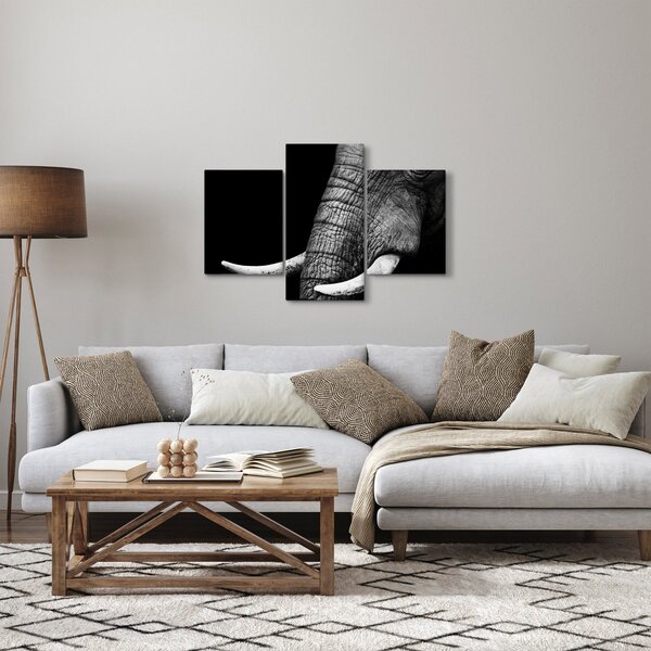 Obraz - Slonie kly (90x60 cm)