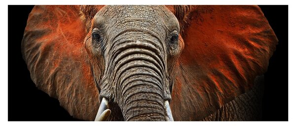 Obraz - Slony z Tsavo (120x50 cm)