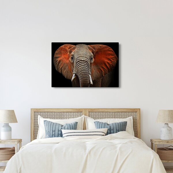 Obraz - Slony z Tsavo (90x60 cm)