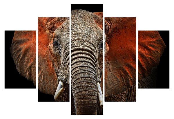 Obraz - Slony z Tsavo (150x105 cm)