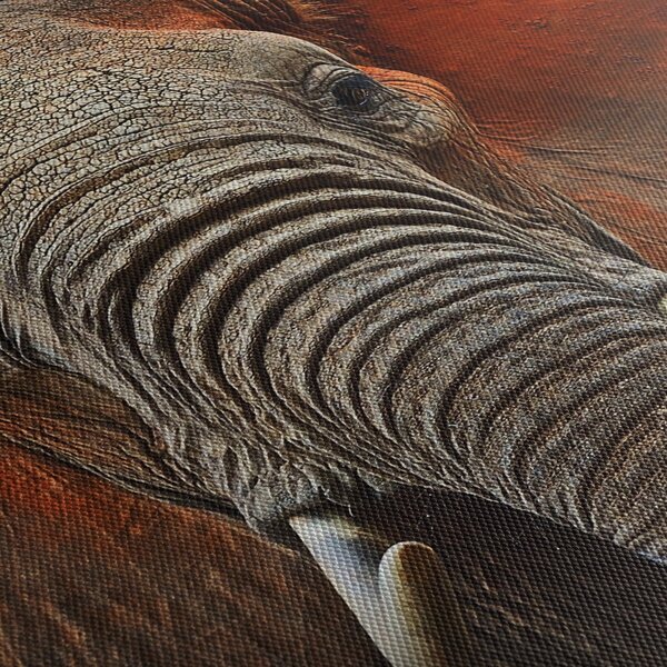 Obraz - Slony z Tsavo (90x60 cm)