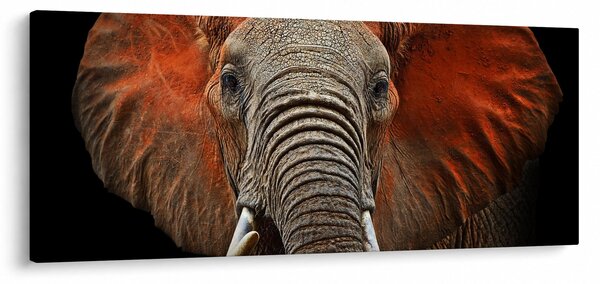 Obraz - Slony z Tsavo (120x50 cm)