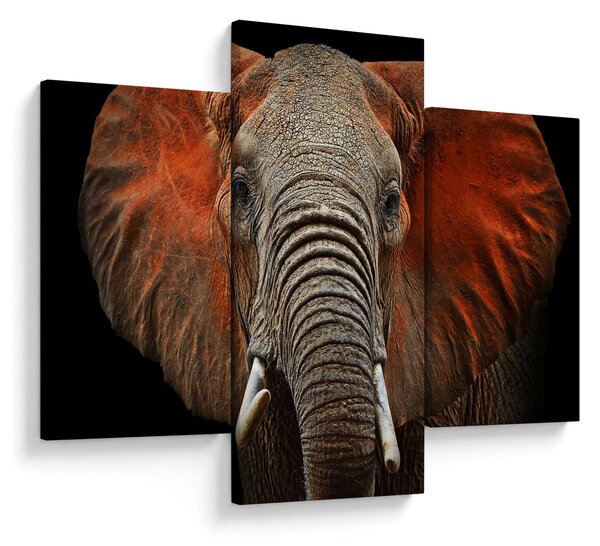 Obraz - Slony z Tsavo (90x60 cm)