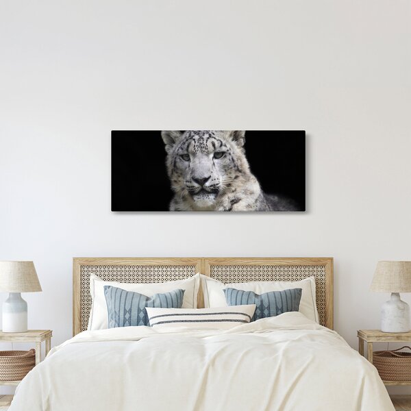 Obraz - Leopard snežný (120x50 cm)