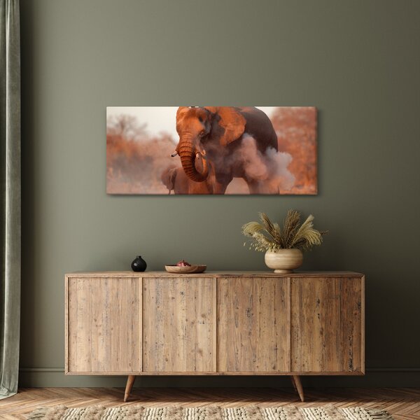 Obraz - Veľký slon africký (120x50 cm)