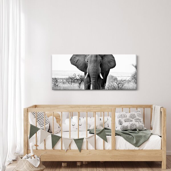 Obraz - Slon africký II. (120x50 cm)