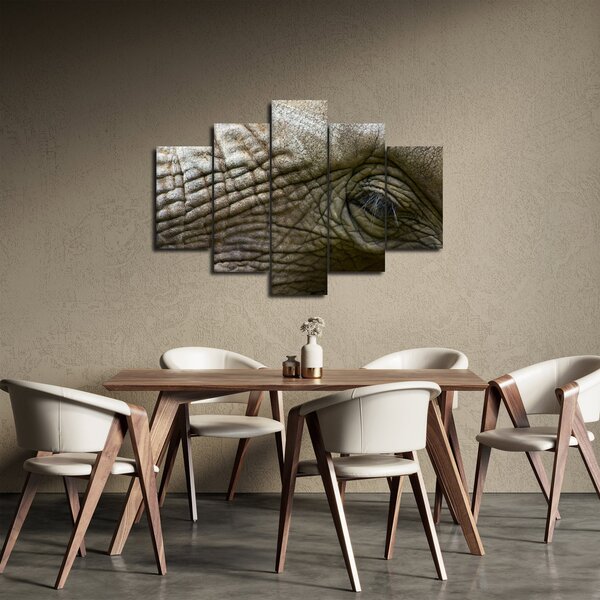 Obraz - Detailné fotografie starého slonieho oka (150x105 cm)