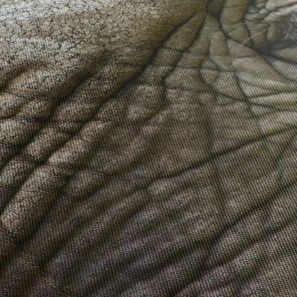 Obraz - Detailné fotografie starého slonieho oka (s hodinami) (90x30 cm)