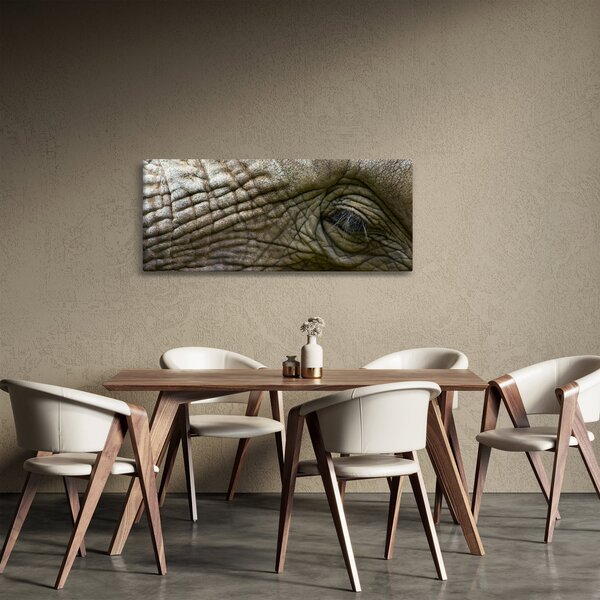Obraz - Detailné fotografie starého slonieho oka (120x50 cm)