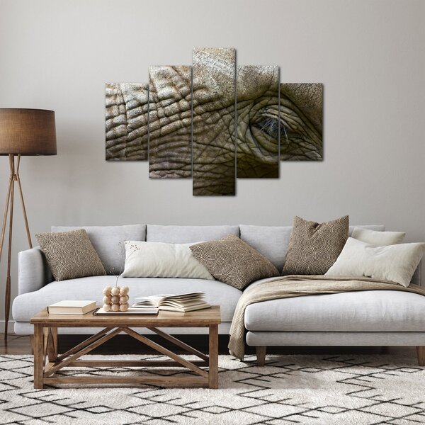 Obraz - Detailné fotografie starého slonieho oka (150x105 cm)