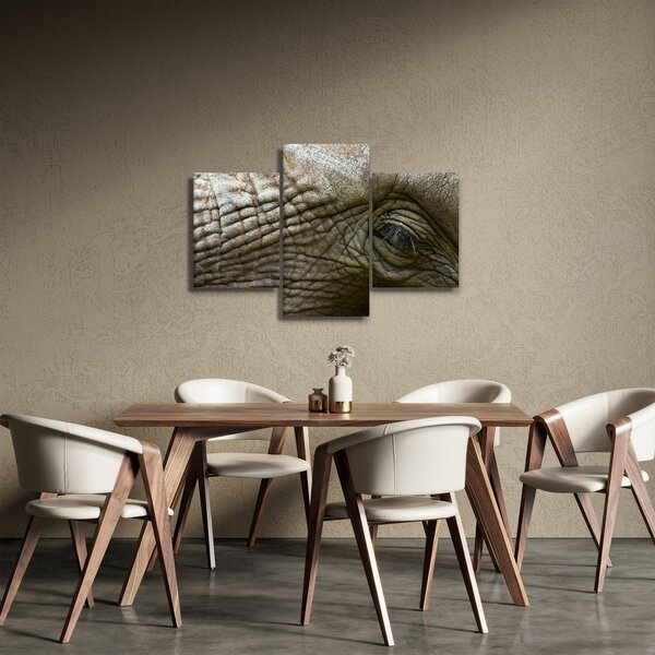 Obraz - Detailné fotografie starého slonieho oka (90x60 cm)