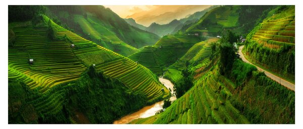Obraz - Ryžové terasy Mu Cang Chai (120x50 cm)