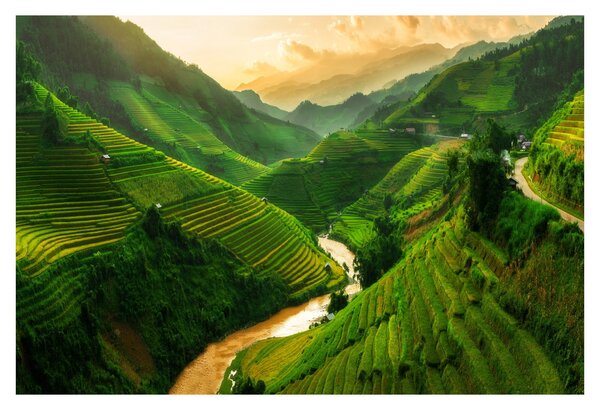 Obraz - Ryžové terasy Mu Cang Chai (90x60 cm)