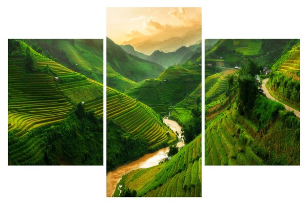 Obraz - Ryžové terasy Mu Cang Chai (90x60 cm)