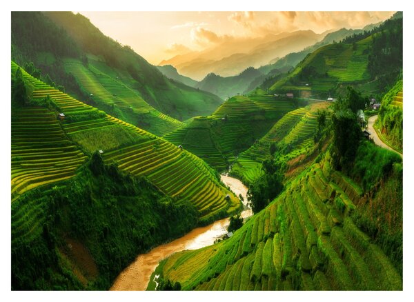 Obraz - Ryžové terasy Mu Cang Chai (70x50 cm)