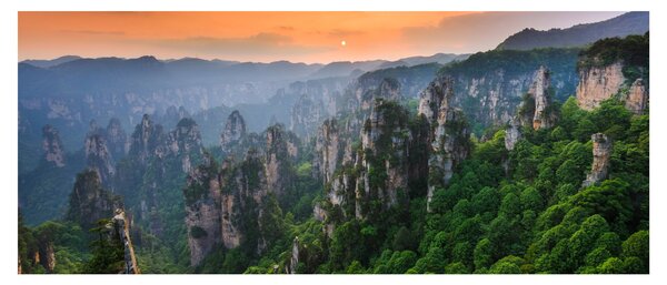 Obraz - Národný lesný park Zhangjiajie (120x50 cm)