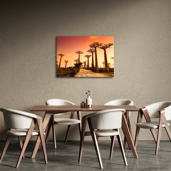 Obraz - Západ slnka v uličke Baobab (70x50 cm)
