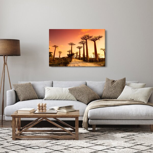Obraz - Západ slnka v uličke Baobab (90x60 cm)