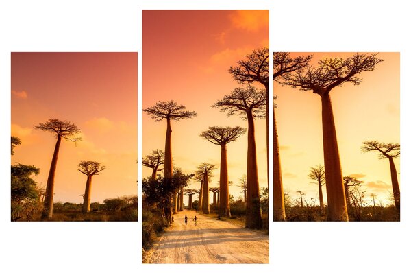 Obraz - Západ slnka v uličke Baobab (90x60 cm)