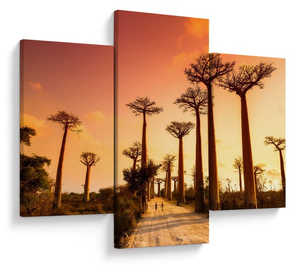 Obraz - Západ slnka v uličke Baobab (90x60 cm)