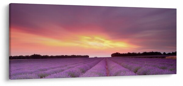 Obraz - Levanduľové pole (120x50 cm)