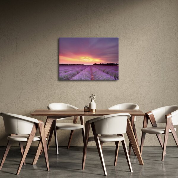 Obraz - Levanduľové pole (70x50 cm)