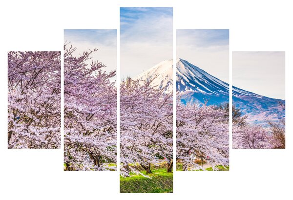 Obraz - Japonsko na jar (150x105 cm)