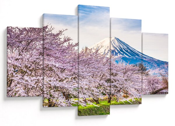 Obraz - Japonsko na jar (150x105 cm)