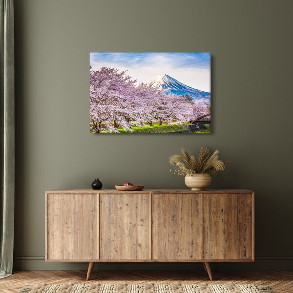 Obraz - Japonsko na jar (90x60 cm)