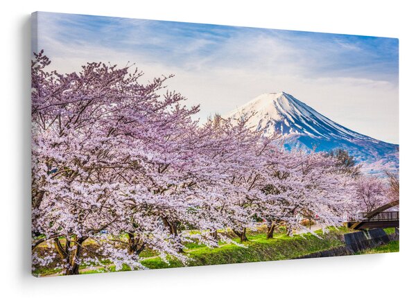 Obraz - Japonsko na jar (90x60 cm)