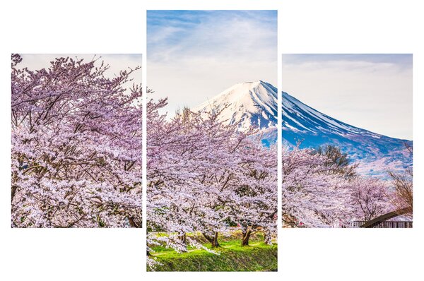 Obraz - Japonsko na jar (90x60 cm)
