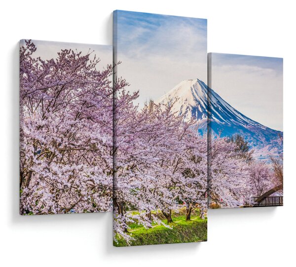 Obraz - Japonsko na jar (90x60 cm)
