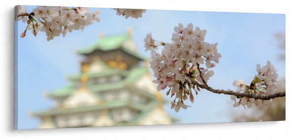Obraz - Sakura (120x50 cm)