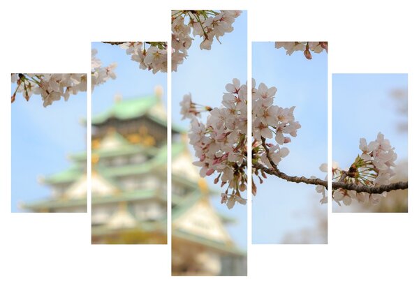 Obraz - Sakura (150x105 cm)