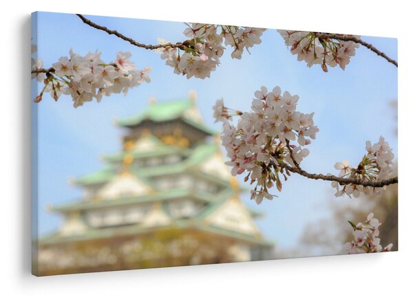 Obraz - Sakura (90x60 cm)