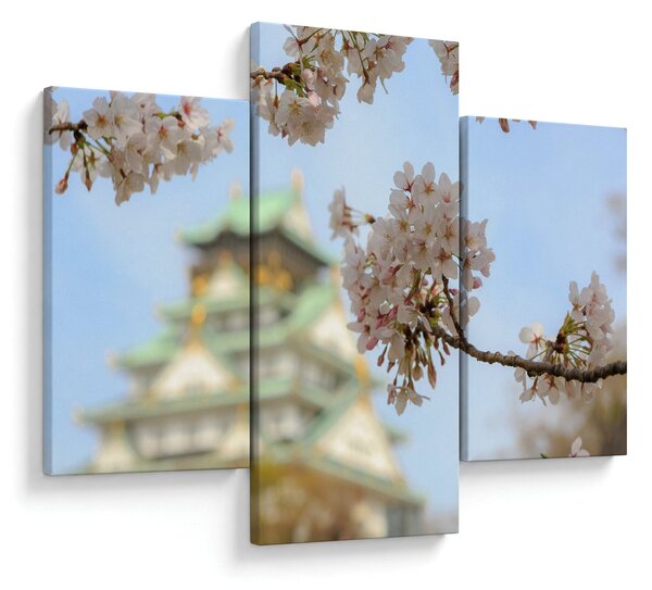 Obraz - Sakura (90x60 cm)