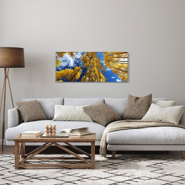 Obraz - Aspen (120x50 cm)