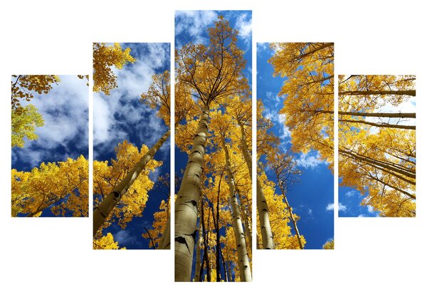 Obraz - Aspen (150x105 cm)