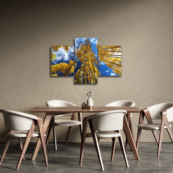 Obraz - Aspen (90x60 cm)