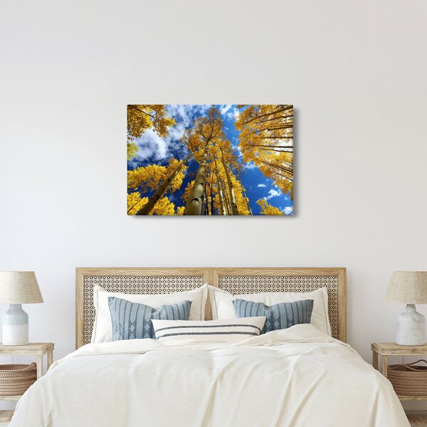 Obraz - Aspen (90x60 cm)