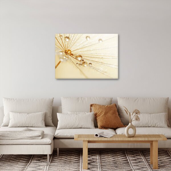 Obraz - Makro fotografie púpavy (70x50 cm)