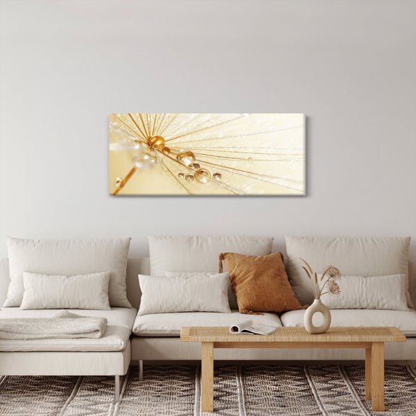Obraz - Makro fotografie púpavy (120x50 cm)