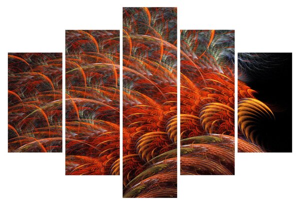 Obraz - Abstraktná imitácia peria (150x105 cm)