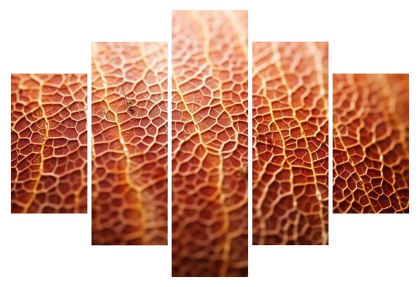 Obraz - Detail textúry (150x105 cm)