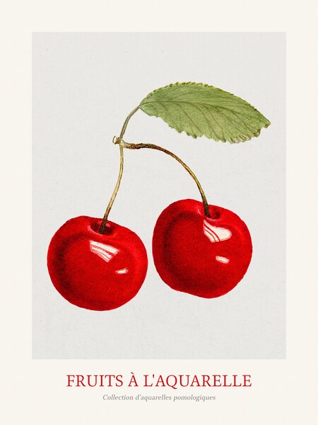 Umelecká tlač Cherries (Watercolour Kitchen Fruit), (30 x 40 cm)