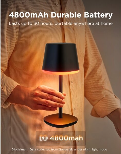 Govee - LED RGBICWW Stmievateľná stolná lampa CLASSIC MATTER LED/10W/5V Wi-Fi