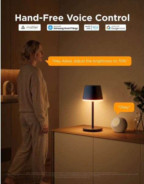 Govee - LED RGBICWW Stmievateľná stolná lampa CLASSIC MATTER LED/10W/5V Wi-Fi