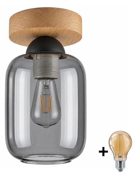 BRILAGI - LED stropné svietidlo R GLASS 1xE27/60W/230V pr. 14 cm dub/dymová sivá